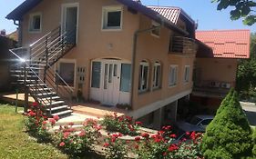 Hostel Jedvaj